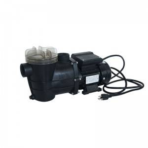 BC2715 1/3 Hp Pump